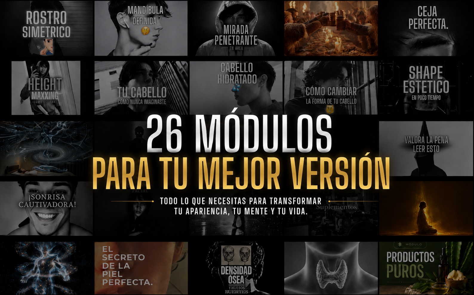 26 Módulos del Curso